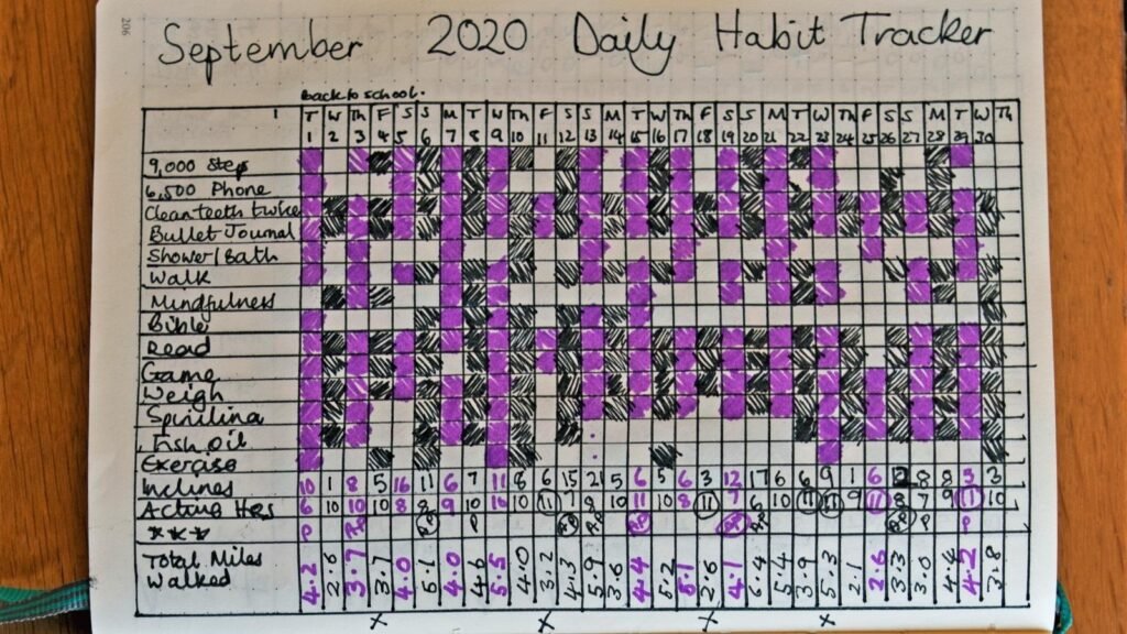 habit tracker fizic pentru obiceiuri zilnice