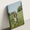 tablou canvas personalizat câine