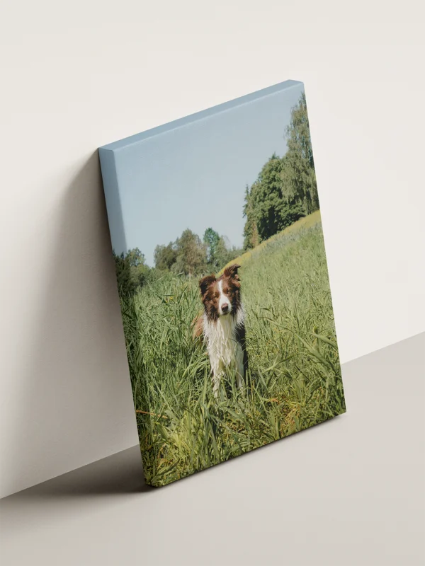 tablou canvas personalizat câine