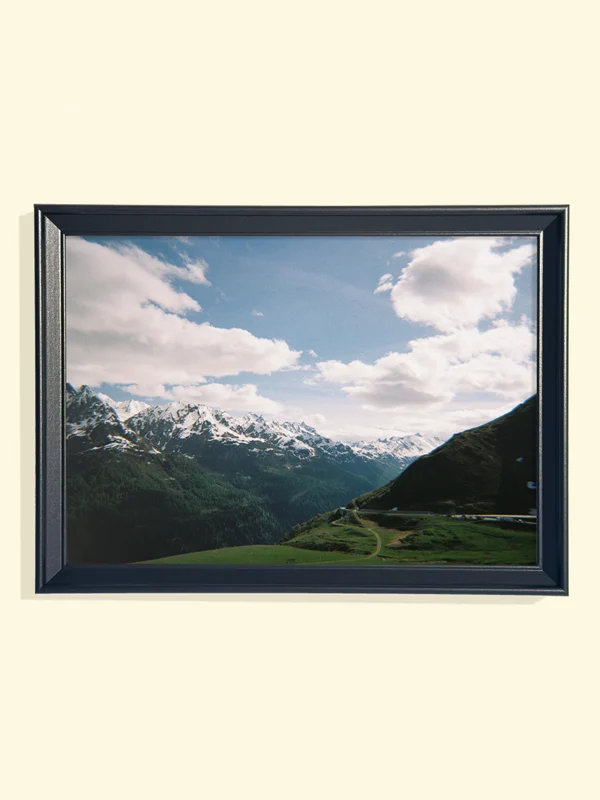 tablou rama neagra Where the Valley Opens