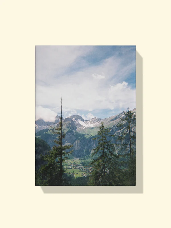 tablou canvas Between Pines and Peaks