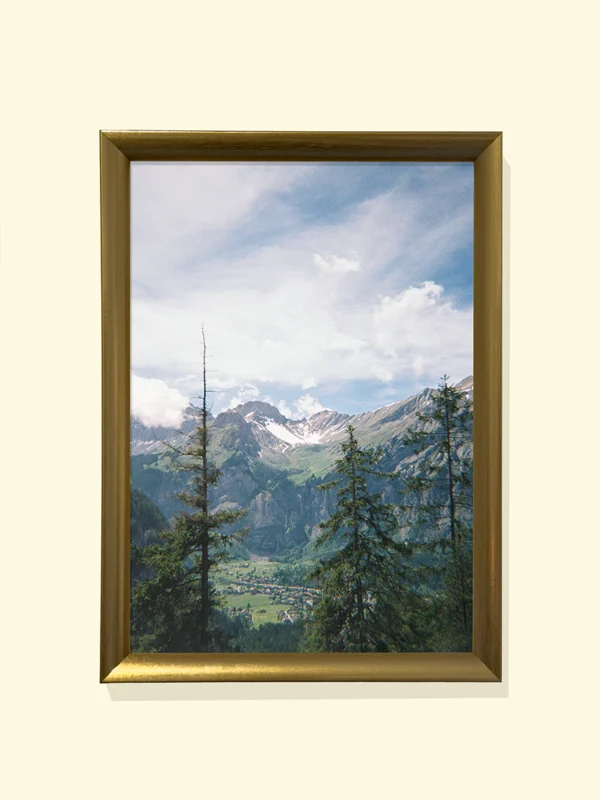 Print foto pe film, peisaj alpin în ramă gold pentru decor Between Pines and Peaks