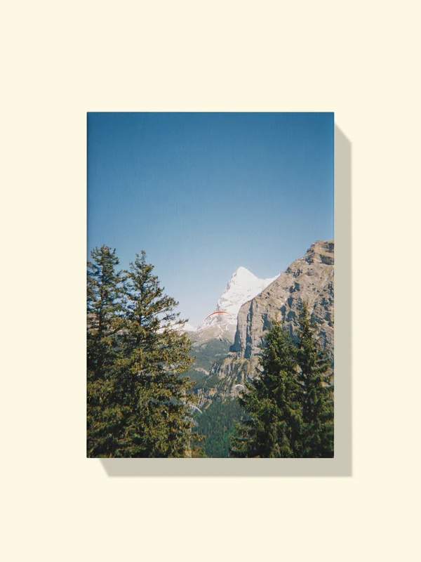 print textil pe pânză canvas vertical Gliding Through the Alps