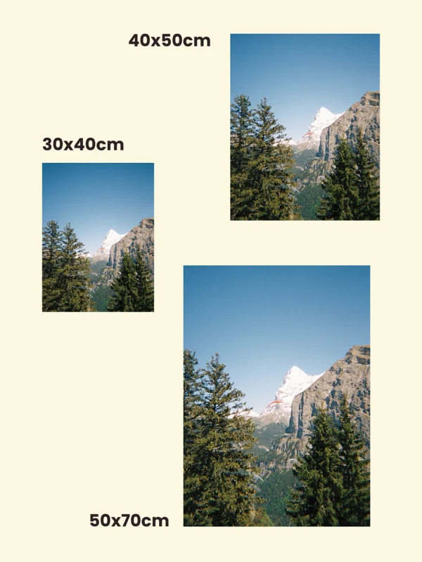 tablou decor Gliding Through the Alps comparație dimensiuni print