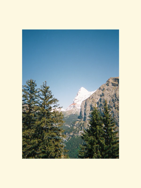 print fotografic de artă sau canvas Gliding Through the Alps