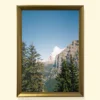 Gliding Through the Alps tablou rama aurie
