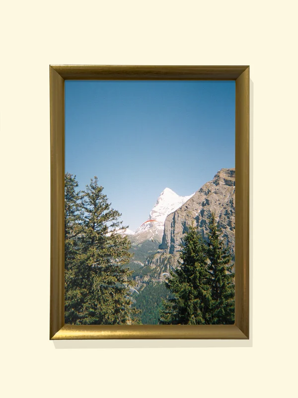 Gliding Through the Alps tablou rama aurie