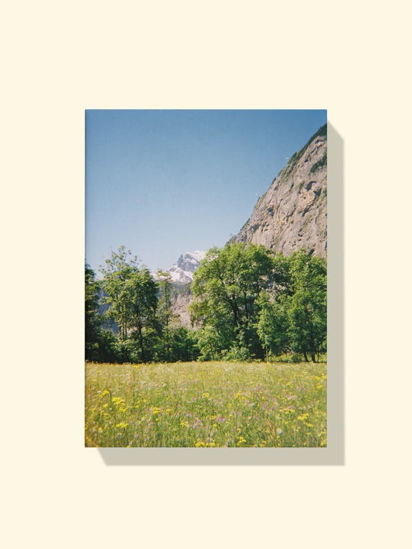 tablou canvas pe pânză Wildflowers in the Alps