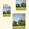 comparație proporții și dimensiuni tablou printat cu peisaj de la munte, câmp cu flori de munte Wildflowers in the Alps