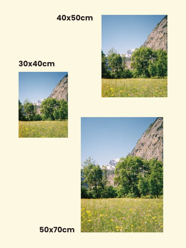 comparație proporții și dimensiuni tablou printat cu peisaj de la munte, câmp cu flori de munte Wildflowers in the Alps