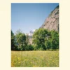 print foto alpin sau canvas Wildflowers in the Alps