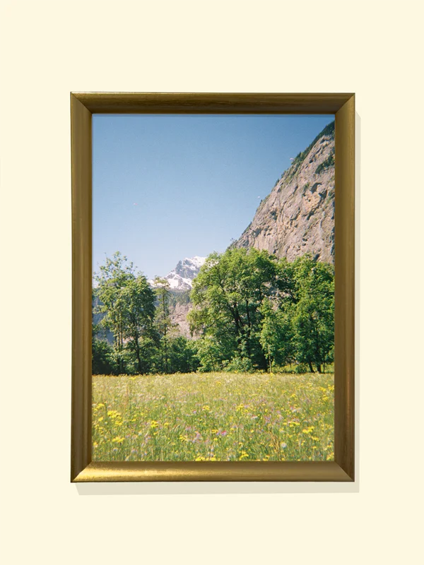 tablou printat în ramă aurie cu câmp cu flori de munte Wildflowers in the Alps print pe hârtie fotografică