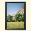 tablou printat în ramă neagră cu câmp cu flori de munte Wildflowers in the Alps print pe hârtie fotografică