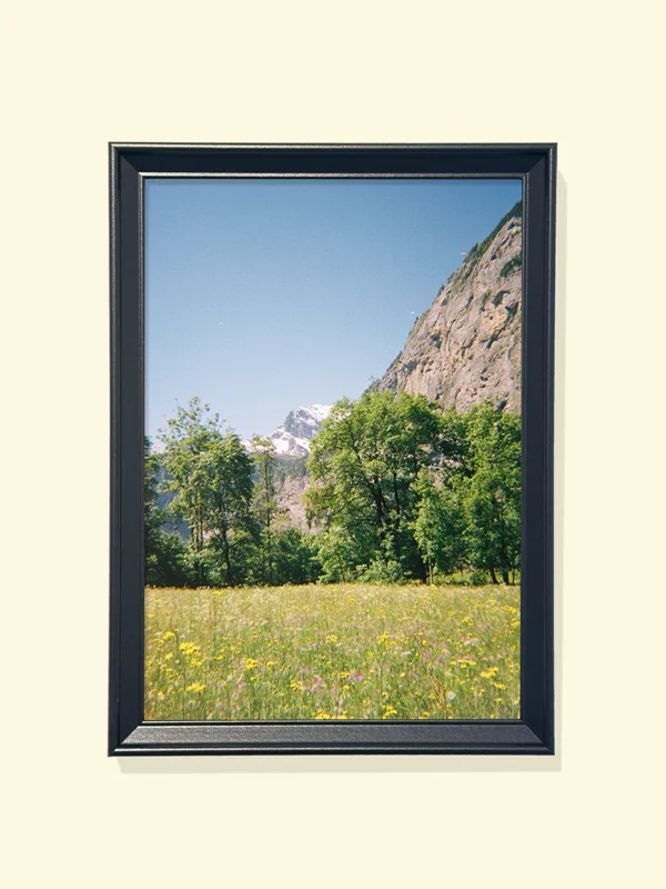 tablou printat în ramă neagră cu câmp cu flori de munte Wildflowers in the Alps print pe hârtie fotografică