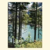 tablou print foto sau canvas Oeschinen