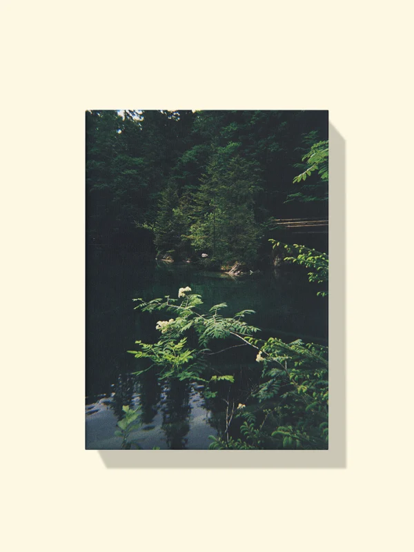 printare tablou canvas pădure și lac