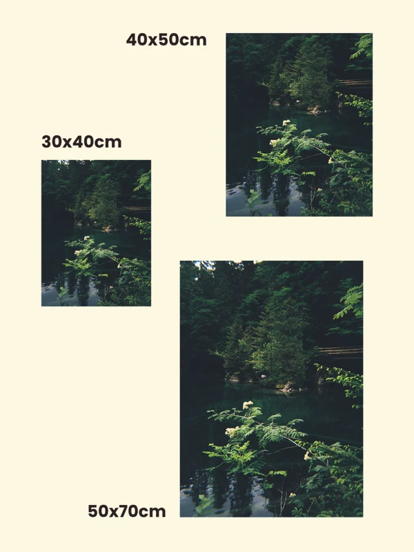 Dimensiuni print tablou canvas sau print foto lac la munte pădure verde