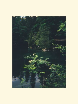 Tablou Blausee Elvetia canvas sau foto poster sau înrămat