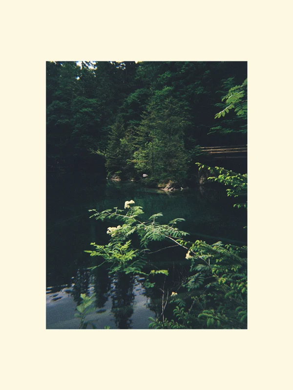 Tablou Blausee Elvetia canvas sau foto poster sau înrămat