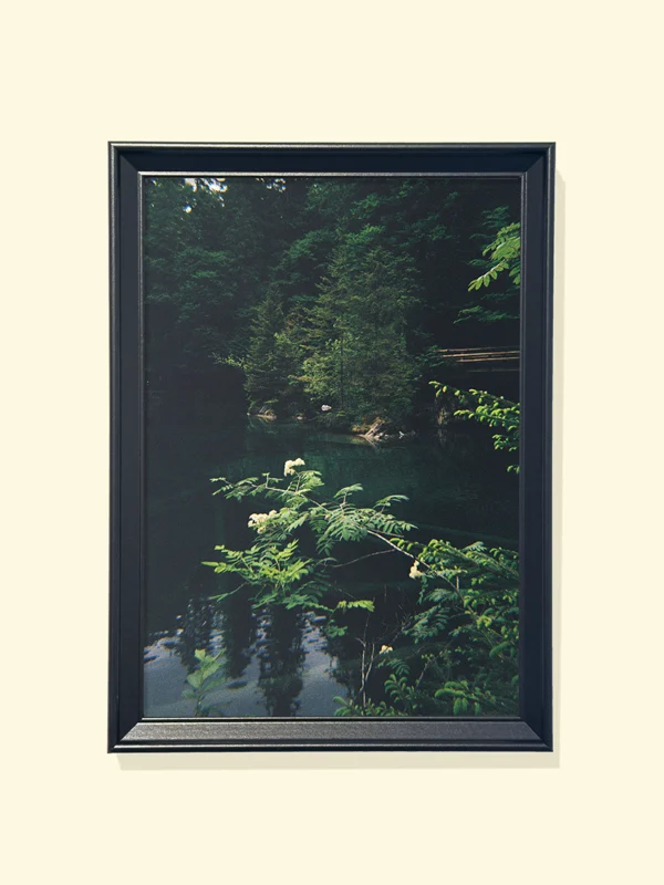 tablou decorat cu ramă neagră pădure verde