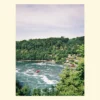 print foto sau canvas The Rush of Rhine Falls
