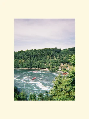 print foto sau canvas The Rush of Rhine Falls