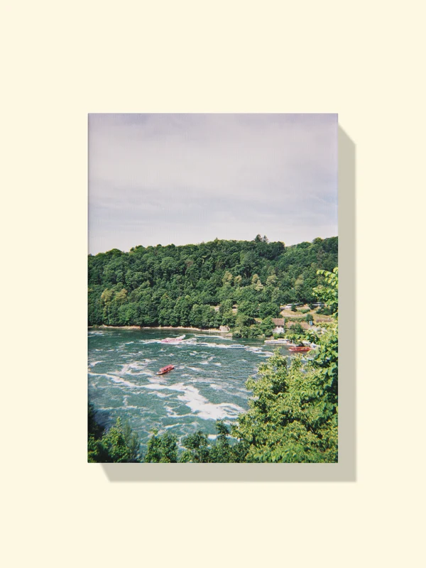 print canvas The Rush of Rhine Falls