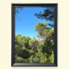 Print fotografic cu peisaj mediteraneean, pini verzi și cer albastru, montat în ramă neagră