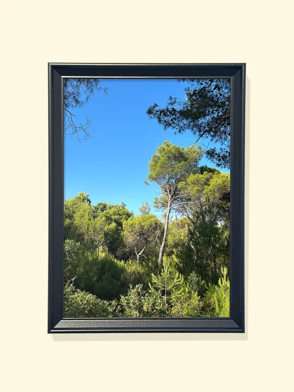 Print fotografic cu peisaj mediteraneean, pini verzi și cer albastru, montat în ramă neagră
